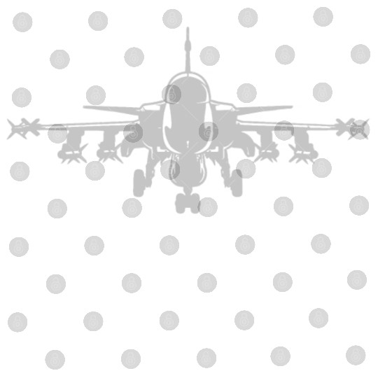US Flag Airplane Patriotic American Pilot Digital Files
