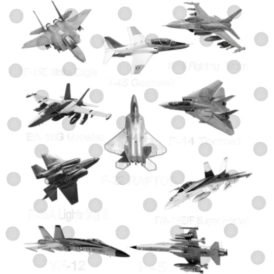 Fighters Jets F22 Raptor F14 Tomcat Plane Spotting Digital Files