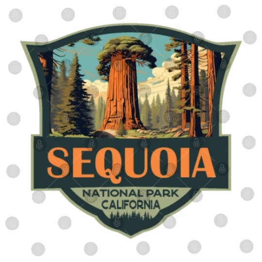 Sequoia National Park Illustration Travel Retro Digital Files