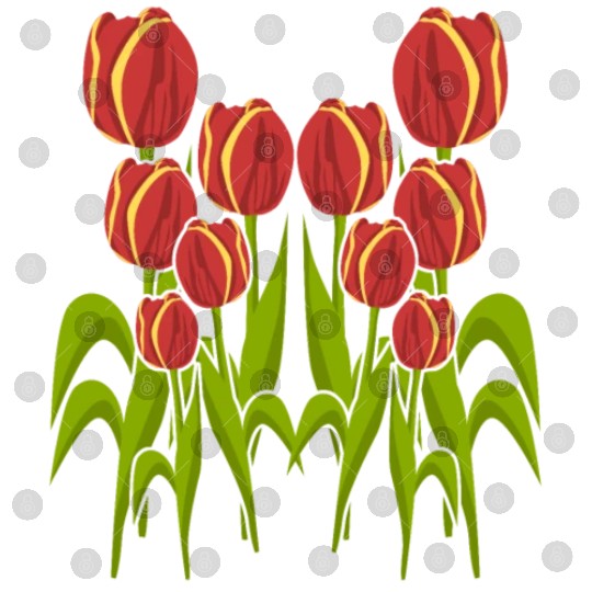 Tulip Flower Flowers Garden Tulips Digital Files