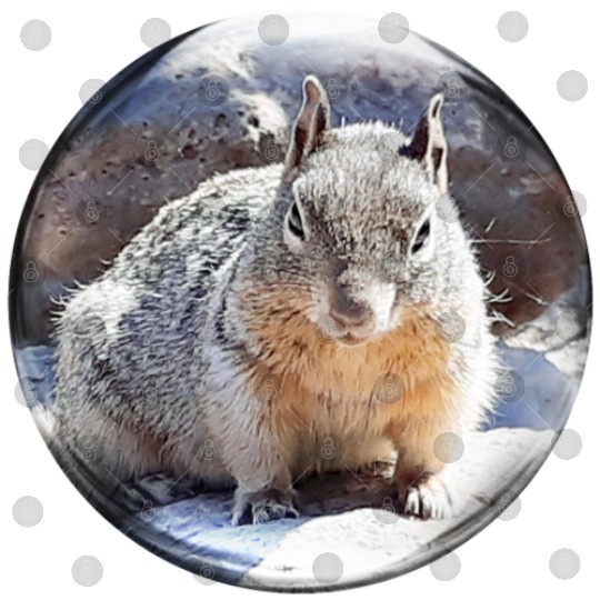 Life In a Bubble Collection- Grand Canyon Squirrel Digital Files