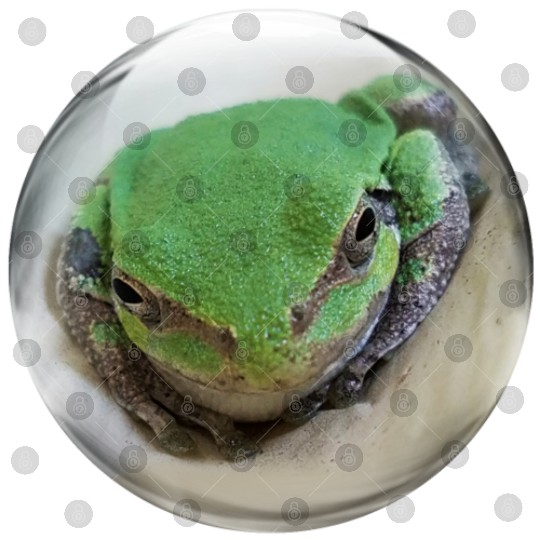 Life In a Bubble Collection - Frog Eyes Looking 4U Digital Files