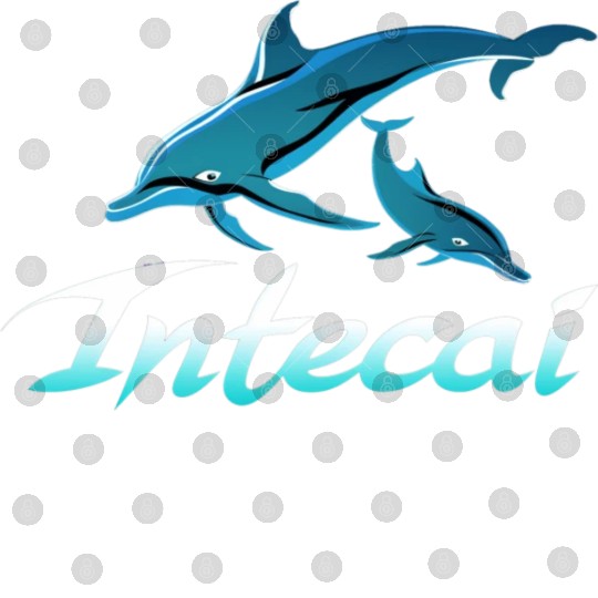 Serenity Swimmers: Intecai’s Ocean,Dolphin Dance Digital Files