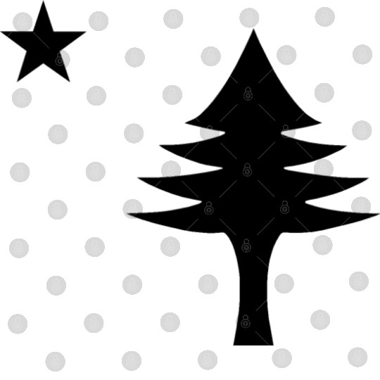 Pine tree and star 1901 flag of Maine State Digital Files