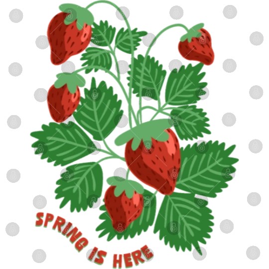 Strawberry Digital Files