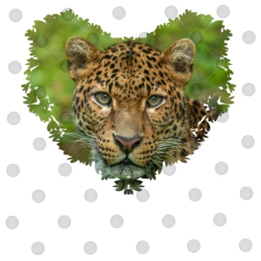 Jaguar s Intensity Heart Digital Files