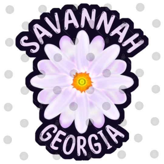 Savannah Georgia Digital Files