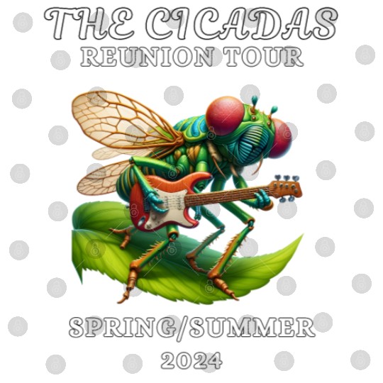 Cicadas Reunion Tour Spring Summer 2024 Digital Files