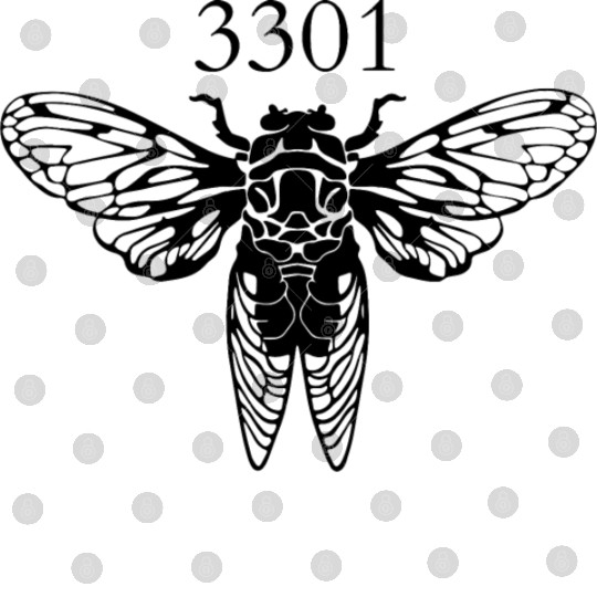 Cicada Insect Bug Black Entomology Entomologist Digital Files