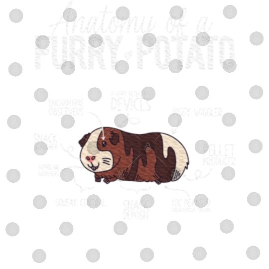 Guinea Pig Anatomy, Guinea Pig Lover, Guinea Pig Digital Files