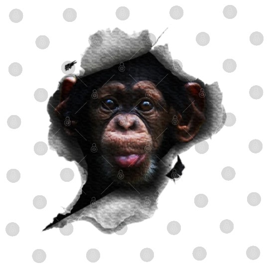 Chimp, Monkey Lover, Chimpanzee, Monkey Digital Files