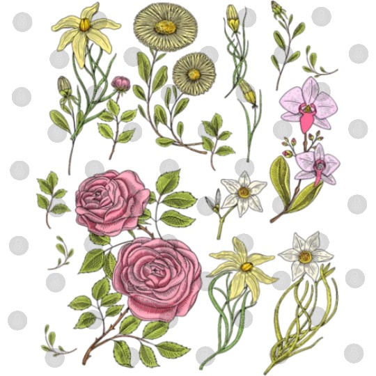 Flowers Cottagecore Mushroom Indie Clothes Digital Files