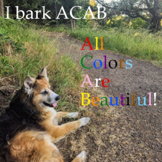 I bark ACAB Digital Files
