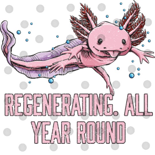 Regenerating All Year Round Axolotl Animal Lover S Digital Files