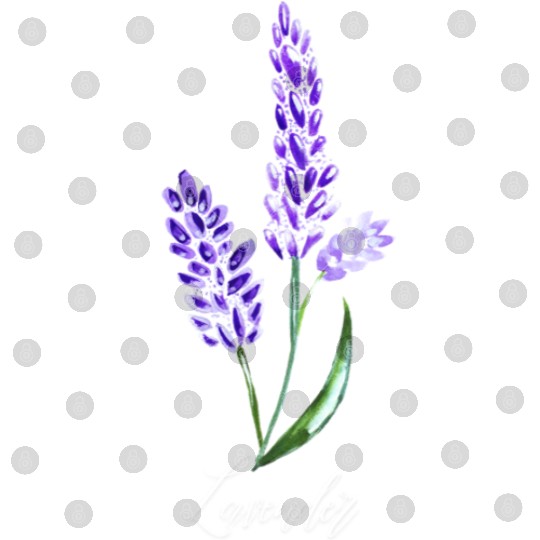 Lavender Flowers, Keen Gardner, Flower lover Digital Files