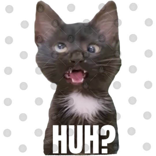 Funny Cross Eyed Cat Meme Huh Funny Cat Digital Files