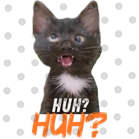 Funny Cross Eyed Cat Meme Huh Funny Cat Digital Files