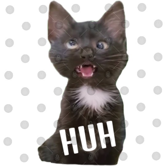 Funny Cross Eyed Cat Meme Huh Funny Cat Digital Files