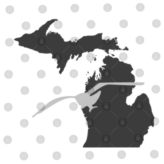 Michigan Seagull Digital Files