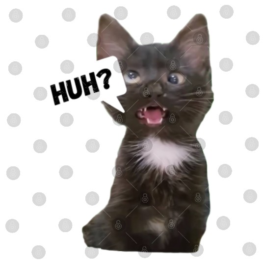 Funny Cross Eyed Cat Meme Huh Funny Cat Digital Files