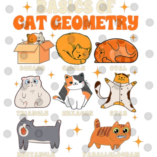 Math Teacher Life Teaching Basics Of Cat Geometry Digital Files