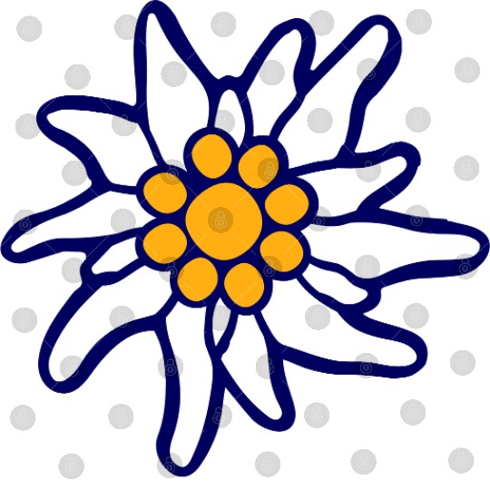 White Alps Edelweiss Flower Mountain Hiking Flower Digital Files