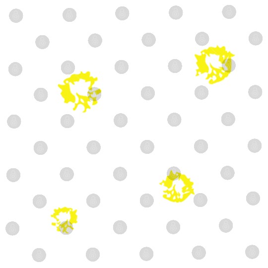 Beautiful White Daisies Flowers Spring Summer Fun Digital Files