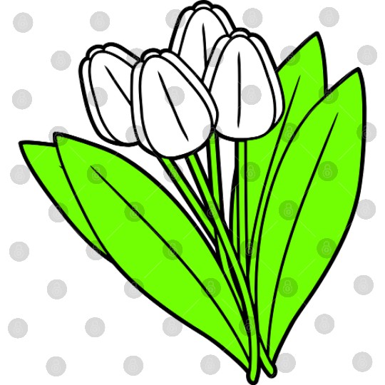 White Tulips Bouquet Spring Summer Beauty Flowers Digital Files