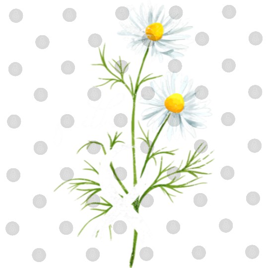 Lung Cancer Month Fight Support White Ribbon Digital Files