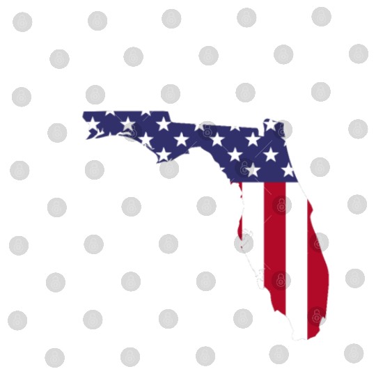 I survived Hurricane Milton October 2024 Florida Digital Files