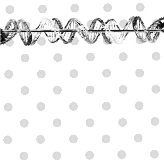 Threads of Unity creative wear Digital Files