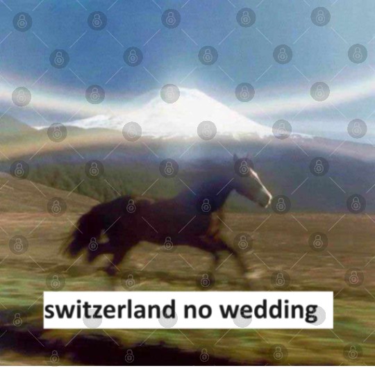 horse switzerland no wedding Digital Files