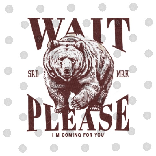 Grizzly bear Texture Digital Files