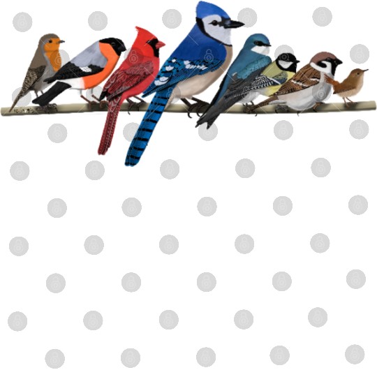 Garden Birds Blue Jay Cardinal Bullfinch Birding Digital Files