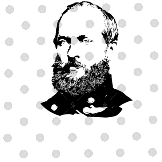 President James Abraham Garfield Digital Files