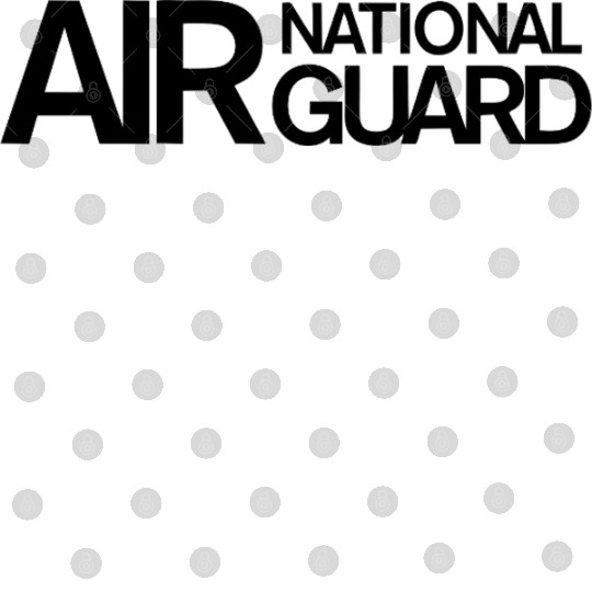 Air National Guard 1 Digital Files