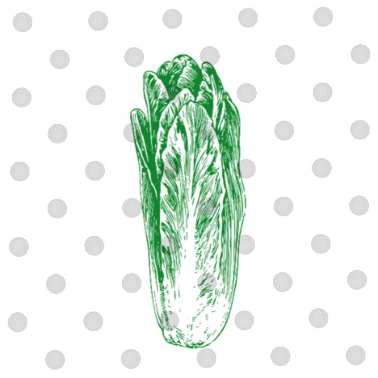 "Lettuce Be Friends" Funny Quote | Gardening Gift Digital Files