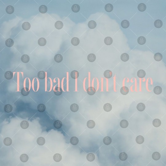 To Bad I Don't Care Digital Files