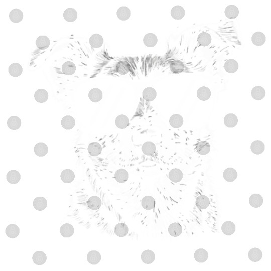 Border Collie Dog Wearing Sunglasses Vintage Pet Digital Files