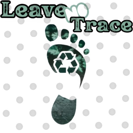 Earth Steps Digital Files