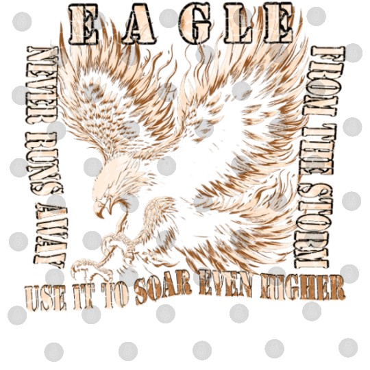 The eagle in the storm Digital Files