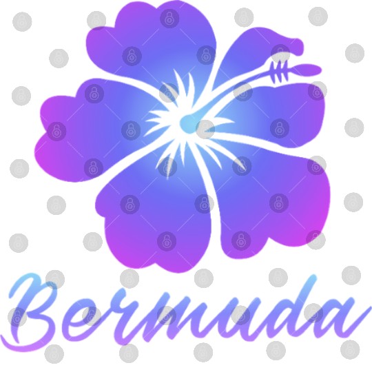 Bermuda Hibiscus Digital Files