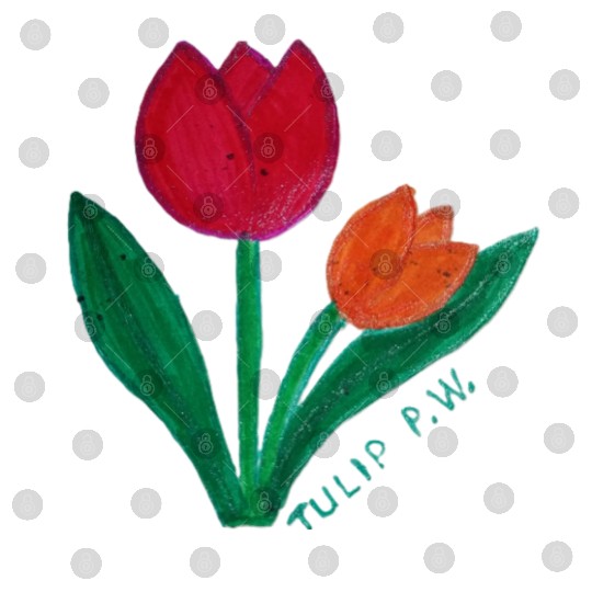 Tulip Digital Files
