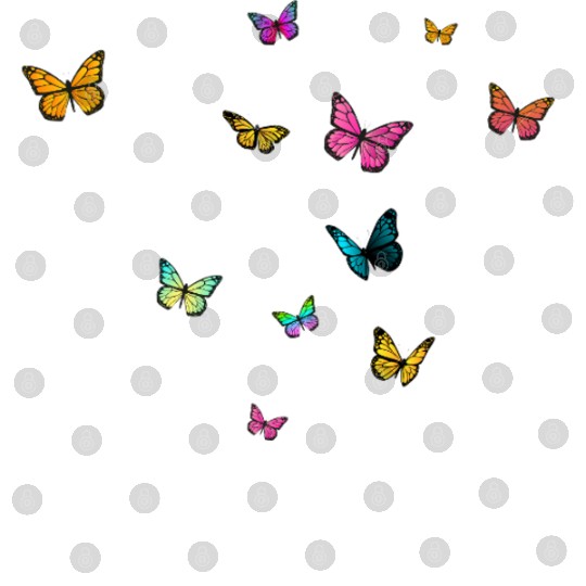 Colorful Butterfly NAME ROMINA Digital Files