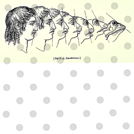 Vintage Evolution Man Into Frog - Werefrog! Digital Files