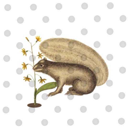 Squirrel with Flower and Humorous Quote Digital Files