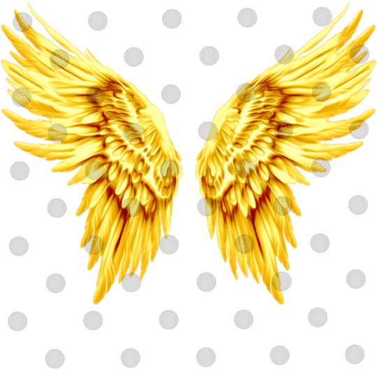Golden Angel Wings  Digital Files