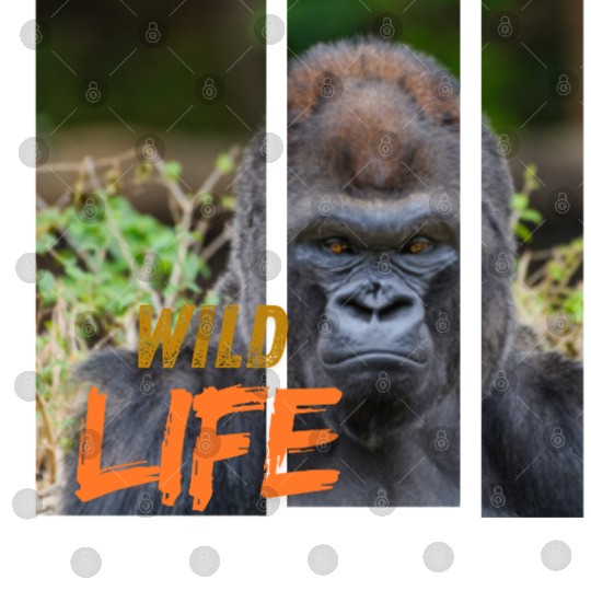 Gorilla Wildlife Portrait Digital Files