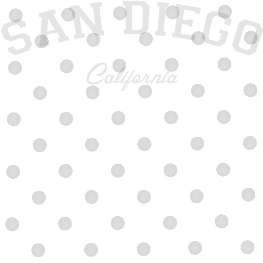 San Diego Digital Files