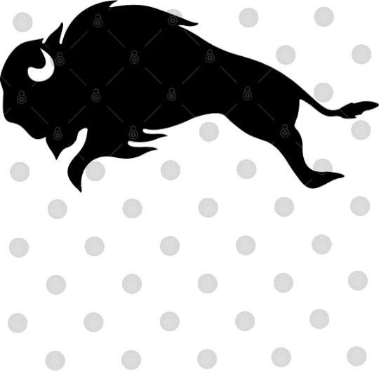 AMERICAN BISON, WISENT, BUFFALO RUNNING Digital Files